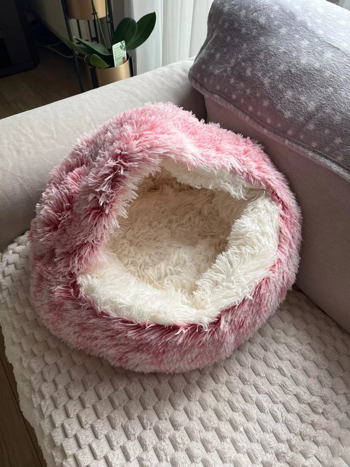 🔥Comfy Hood Pet Bed (🎉✨ Today Free Shipping ✨🎉)